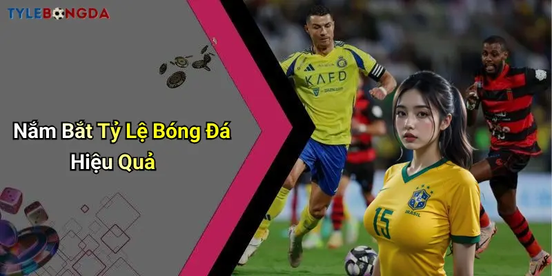 Nắm Bắt Tỷ Lệ Bóng Đá Hiệu Quả