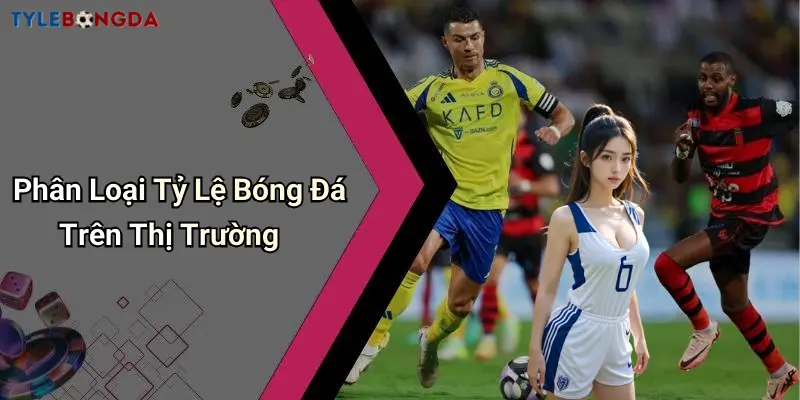 Phân loại tỷ lệ bóng đá trên thị trường