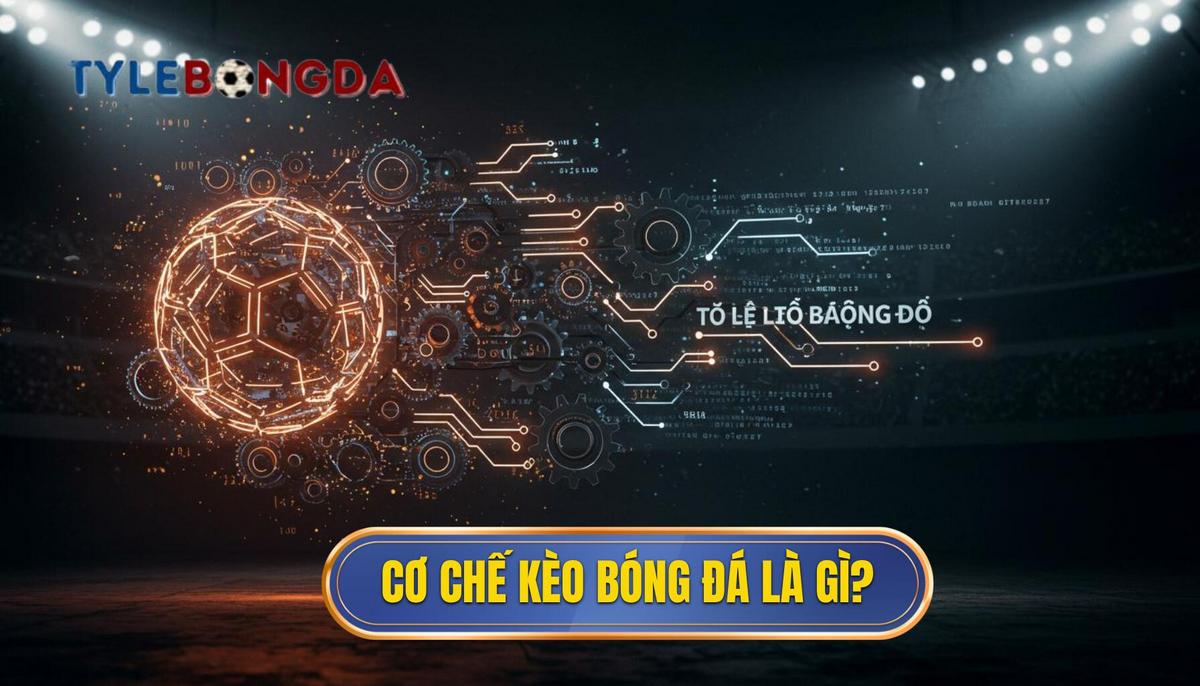 1. Cơ Chế Hoạt Động Của Kèo Bóng Đá_ Không Chỉ Là Dự Đoán