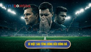 Bí mật sau từng dòng kèo bóng đá