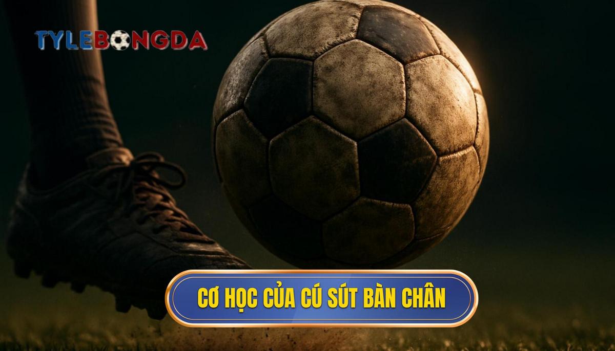 Nền Tảng Cơ Học Của Cú Sút Mu Bàn Chân